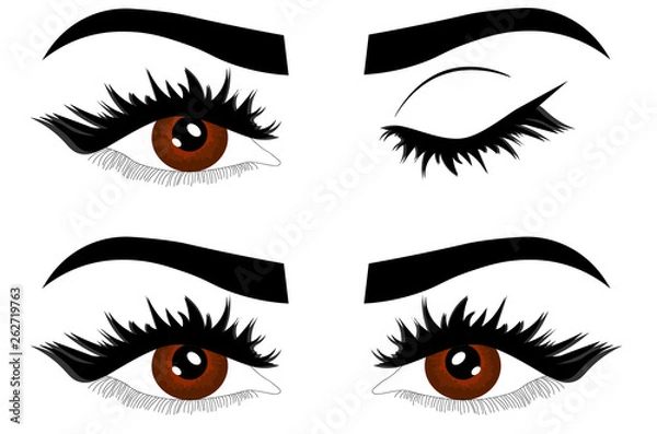 Obraz Brown eyes, eyelashes and eyebrows..