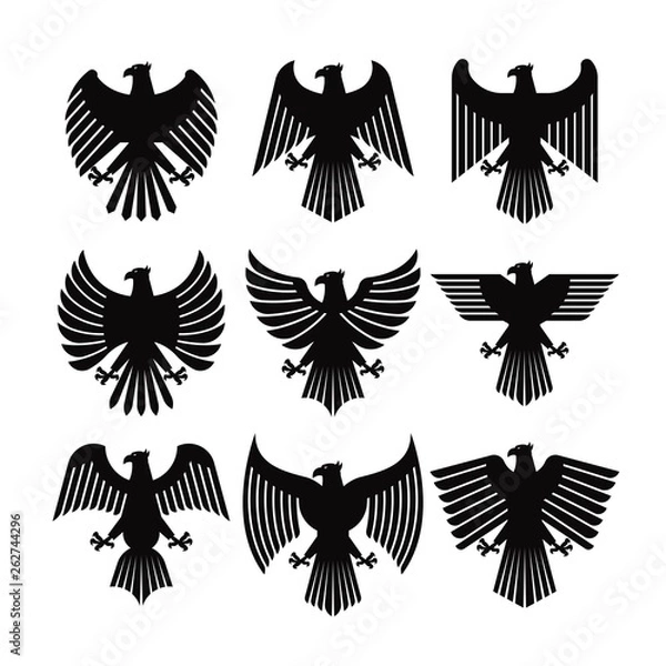 Obraz EAGLE COAT VECTOR