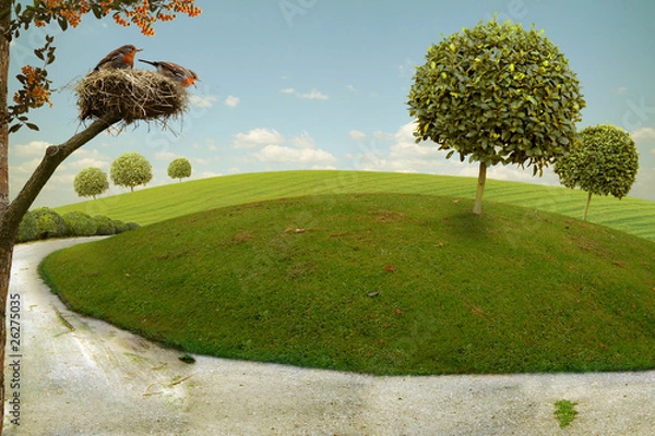 Obraz Nice Landscape