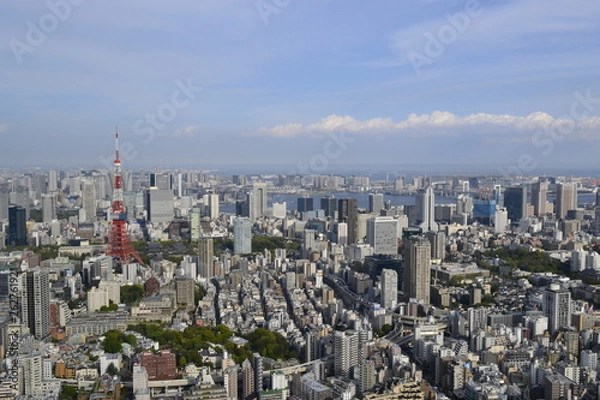 Obraz Tokyo Cityscape Photo
