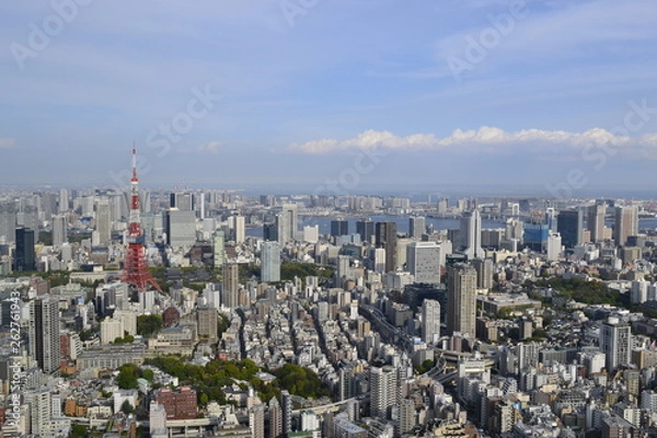 Obraz Tokyo Cityscape Photo