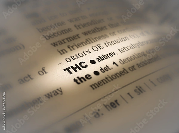 Fototapeta A highlighted word in a page that reads: THC