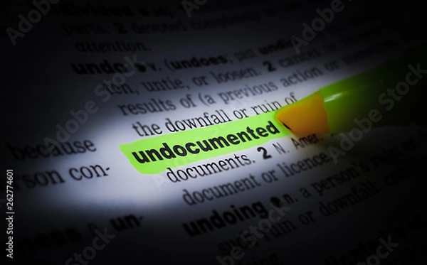 Fototapeta A highlighted word in a page that reads: undocumented