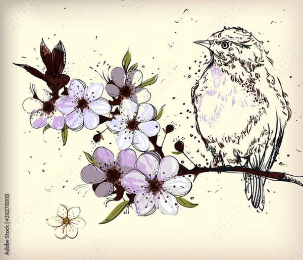 Fototapeta little bird and blooming branch