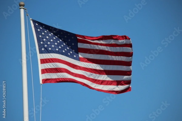 Obraz American Flag