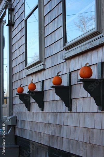 Obraz Pumpkins in Fall