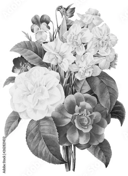 Obraz Halftone Botanical Illustration