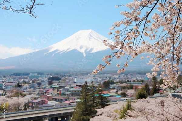 Fototapeta 晴れた春の日の富士山と町