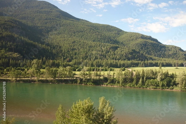 Obraz River Green Sights