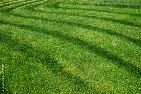 Obraz Striped pattern on a freshly cut grass field