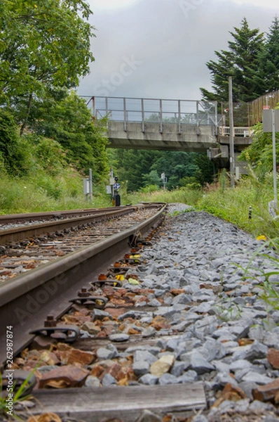 Fototapeta 線路は続く