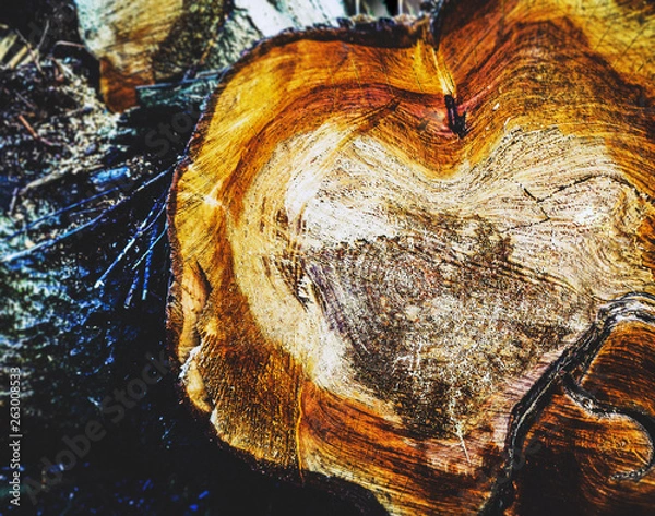 Fototapeta Wood material with love sign