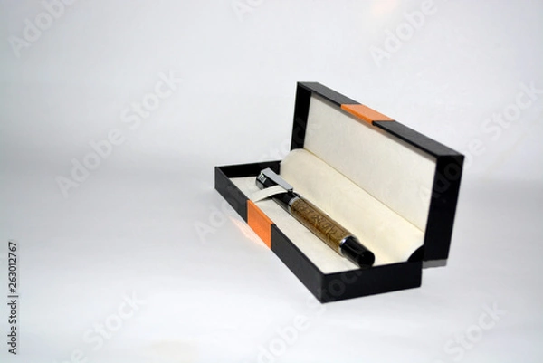 Fototapeta Pen with case