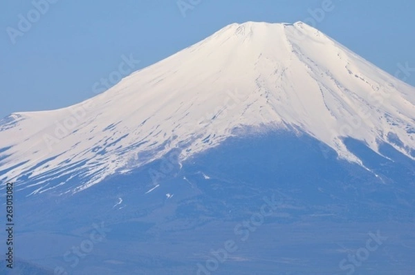 Fototapeta 春の富士山眺望