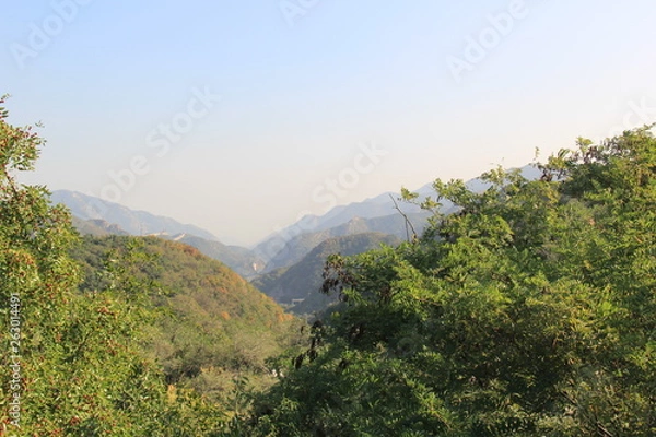 Obraz landscape with mountains and trees