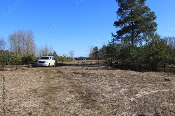 Fototapeta  car in the forest