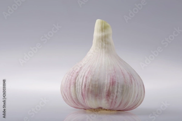 Fototapeta Head of young garlic on a gray background of the subject table.