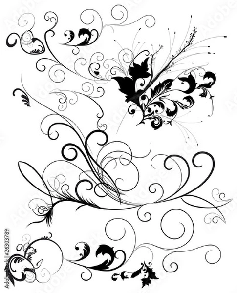 Obraz decorazioni floreali vettoriali