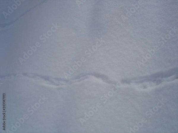 Fototapeta природа