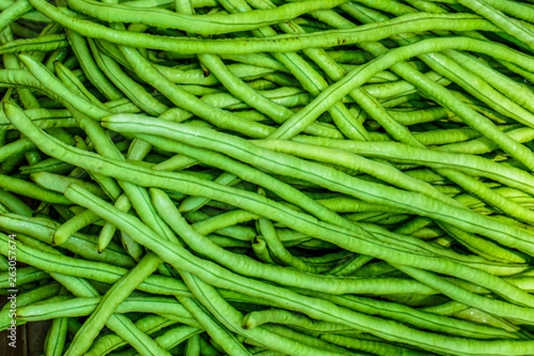 Obraz Close up organic Long bean texture background