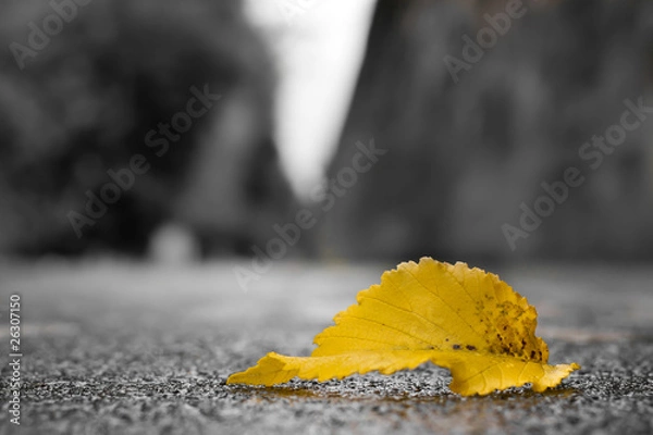 Obraz Herbststimmung