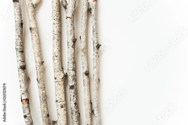 Fototapeta Dry old birch tree branches on a white background. Natural materials background. White tree bark.