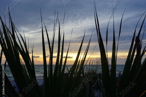 Fototapeta beach sunset 9