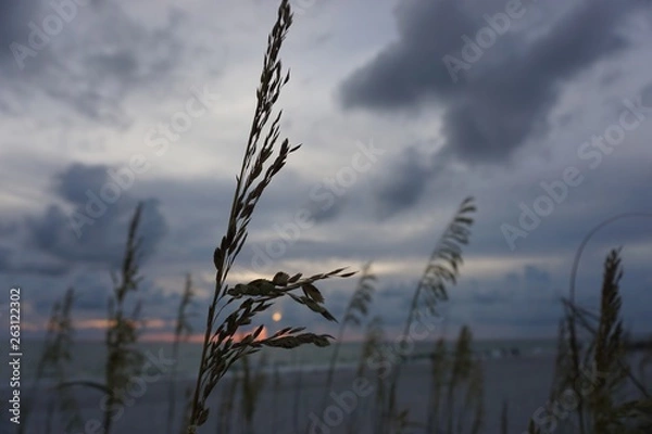 Fototapeta  sunset 4