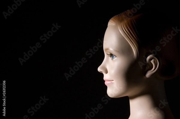 Obraz Mannequin