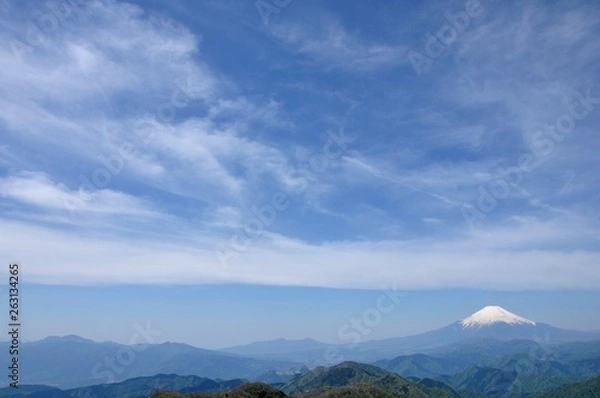 Fototapeta 大空に春の富士山