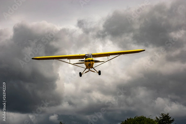 Obraz piper PA18 aircraft