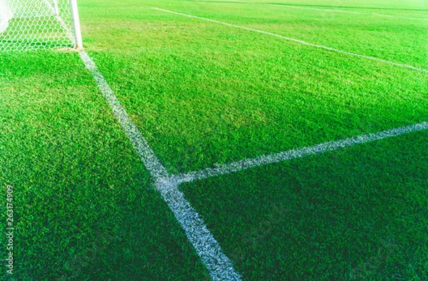 Fototapeta Green soccer field, White lines and green lawn, The football field corner with artificial grass.