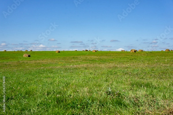 Fototapeta Hay field with large round bales. Environmentally friendly production.