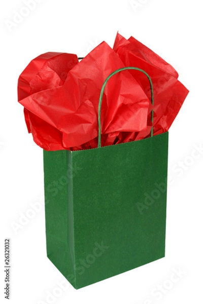 Obraz Green Gift Bag