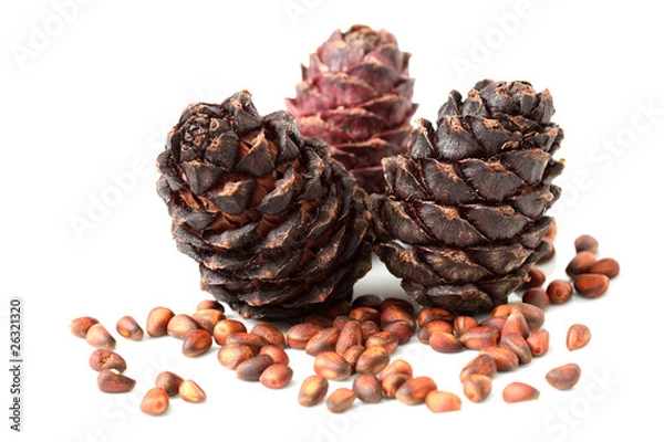 Obraz pine cone