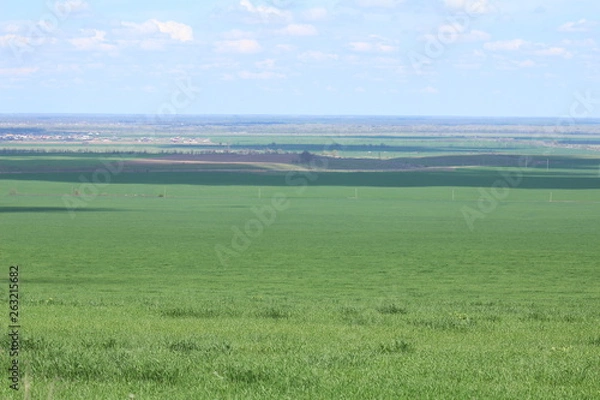 Obraz Green meadows and pasture.