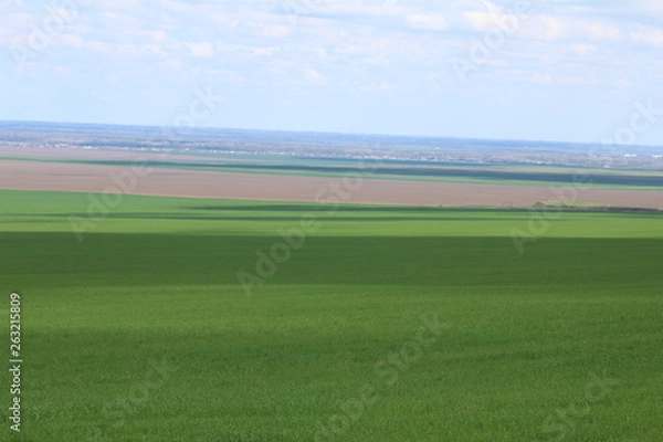 Obraz Green meadows and pasture.