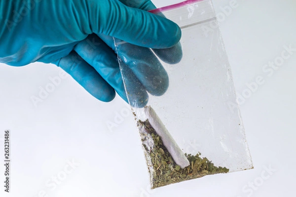 Fototapeta weed and ready-made narcotic cigarette in a bag in the hand of a police expert
