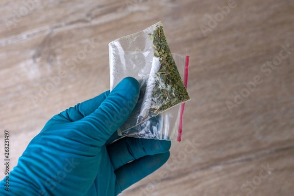 Fototapeta weed and ready-made narcotic cigarette in a bag in the hand of a police expert
