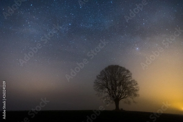 Obraz tree at dawn with starry sky