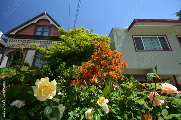 Obraz Spring Impressions from Berkeley near San Francisco and Oakland in Alameda County on May 3, 2017, California USA