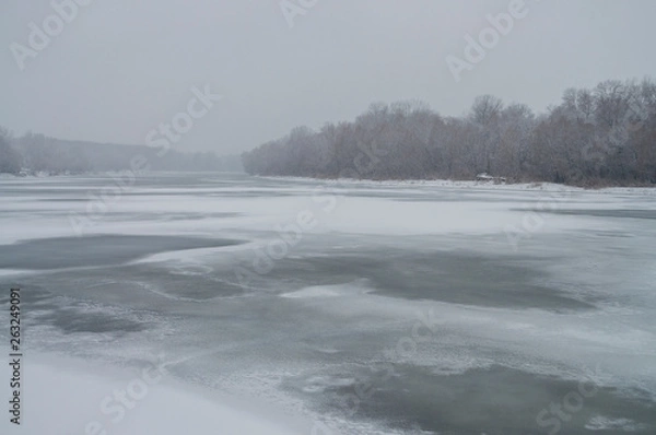 Fototapeta Winter day. River frozen - covered with ice and naked trees covered with white snow on there branches. Walking on nature