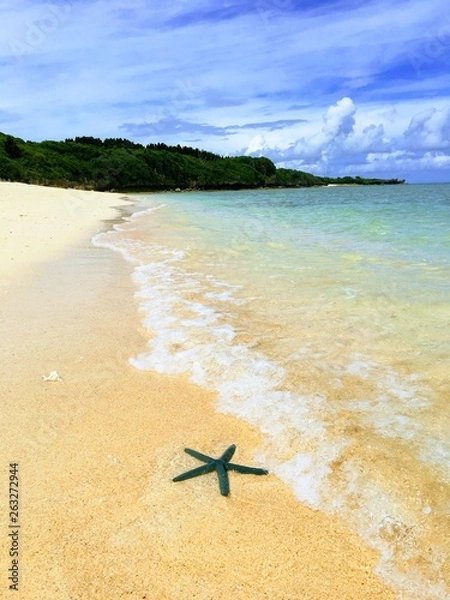 Fototapeta プライベートビーチ