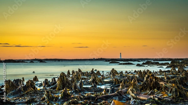 Obraz Seascapes of Cape Sable Island Nova Scotia Canada