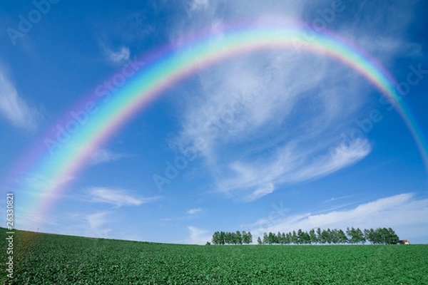 Obraz 立ち木の丘と雲と虹