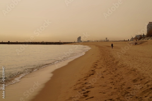 Fototapeta Brązowa plaża