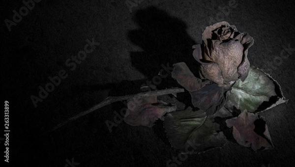 Obraz rose mourning close-up