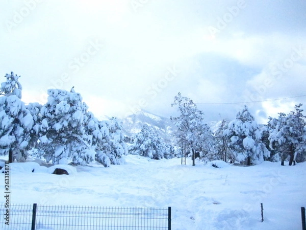 Obraz winter in the mountains