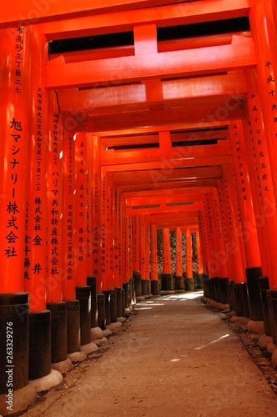 Fototapeta torii in kyoto