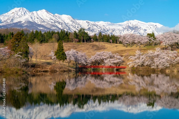 Fototapeta 新潟県妙高市松ヶ峯春の絶景とゴルフ場